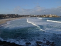 Balade le long de la côte - Bondi beach