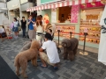 Harajuku - Takeshida-dori, curiosité