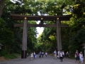 Shibuya - Yoyogi park