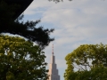 Shibuya - Meiji temple, tradition et modernité