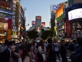 Shibuya - Le plus grand passage protégé du monde