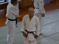 Kodokan Judo Insitute