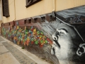 Fresque murale de Cuellimangui, artiste espagnol