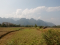 Campagne