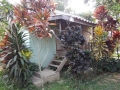 Notre bungalow