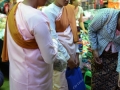 Le marché de Pakokku