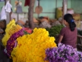 Le marché de Pakokku - on y vend des fleurs
