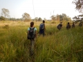 Jour 2 - Promenade dans les hautes herbes
