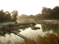 Jour 2 - Vue sur la rivière (et sur le croco)