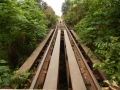 Bamboo train - Pont dans la forêt