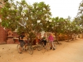 Battambang - Nos beaux vélos
