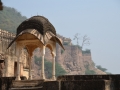 City palace