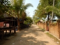 Don Khone - La rue des guest houses
