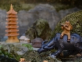 Duc An House - Au pied du Bonsai
