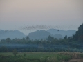 Nuage de chauve-souris