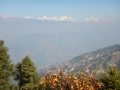Kakani - Vue fleurie sur l'Himalaya