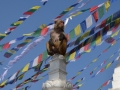 Katmandou - Un singe à Swayambhunath