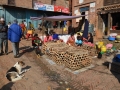Bhaktapur - Des volailles