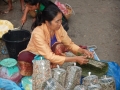Luang Prabang - Feuilles d\'algues séchées