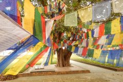 Lumbini