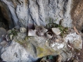 Muang Noi Neua - Les grottes servaient de refuges aux habitants penant les bombardements de la guerre du Vietnam
