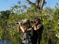 Les aventuriers aux aguets