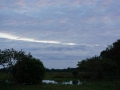 Le soleil se couche sur le Pantanal
