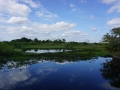 Paysage du Pantanal