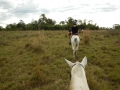 Balade à cheval