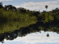 Paysage sur la rivière Alobrao