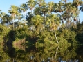 Paysage sur la rivière Alobrao
