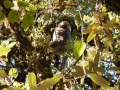Trek J3 - Des singes sur notre route