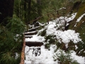 Huerquehue - Escalier enneigé