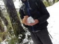 Huerquehue - Pique-nique