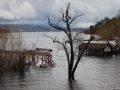 Pucon - Au bord du lac