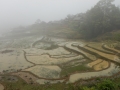 Jour 1 - Rizières dans la brume
