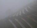 Jour 1 - Brouillard