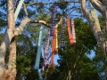 Doi Tung - Mae Fah Luang Gardens, banderoles