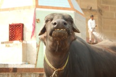 Varanasi