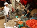 Mandalay - Le marché, vente de moineaux
